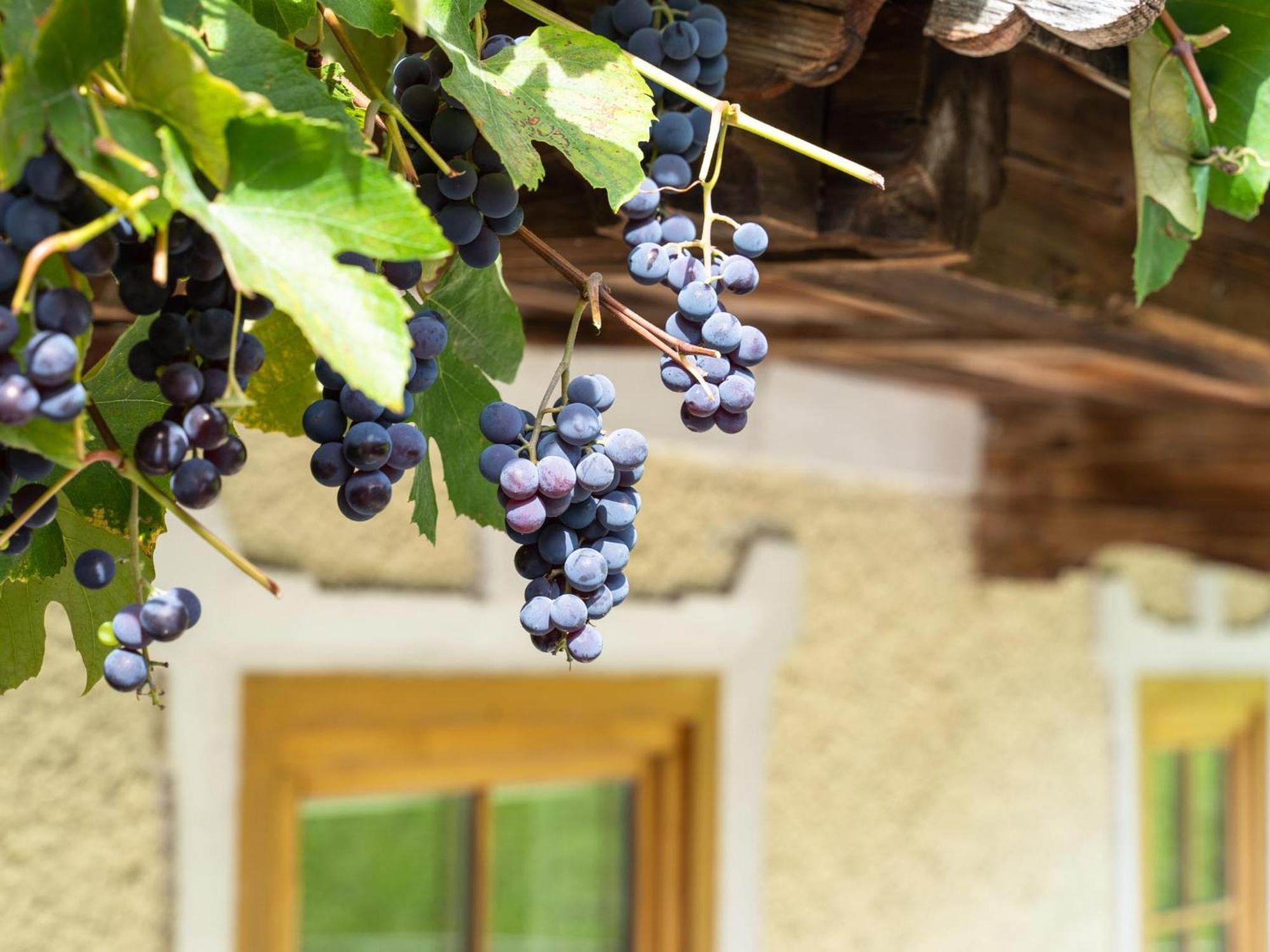 Chalet Anna Bruck am Ziller 外观 照片